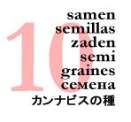El Clandestino - CANNABIS SEEDS/ SAMEN/ SEMILLAS/ ZADEN/ SEMI/ GRAINES/ семена!
